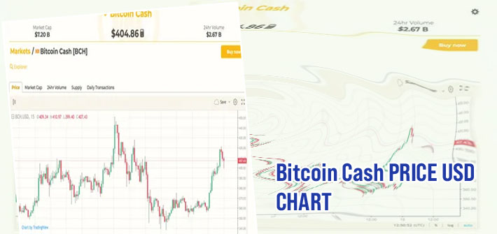 Bitcoin cash price usd