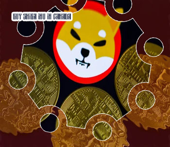 Buy shiba inu cryptocurrency