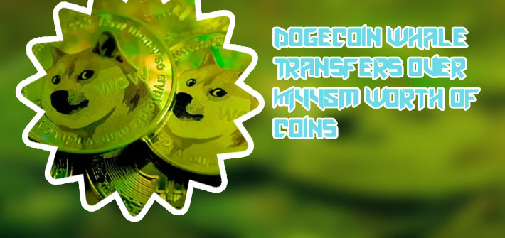 Dogecoin largest wallets