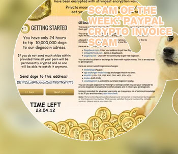 Dogecoin paypal