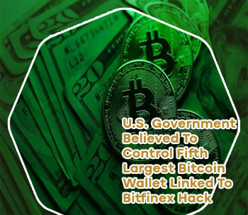 Largest bitcoin wallets
