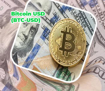One bitcoin in dollars