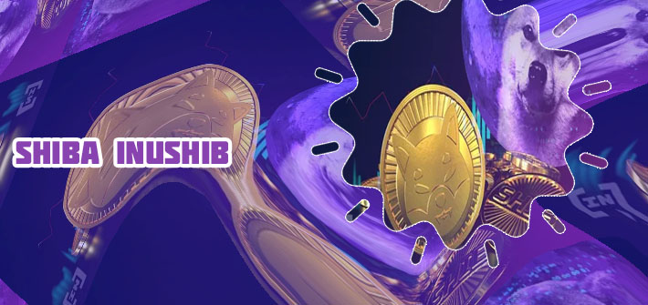 Shiba inu crypto coin